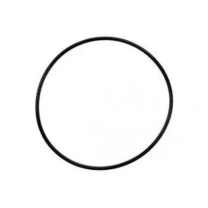 FH2981B01 Seiko Gasket