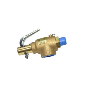 Safety Relief Valve 24.917